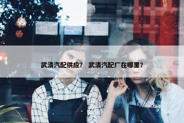 武清汽配供应？ 武清汽配厂在哪里？