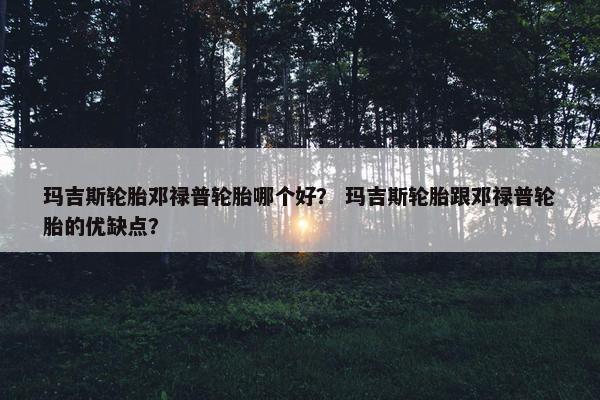 玛吉斯轮胎邓禄普轮胎哪个好？ 玛吉斯轮胎跟邓禄普轮胎的优缺点？
