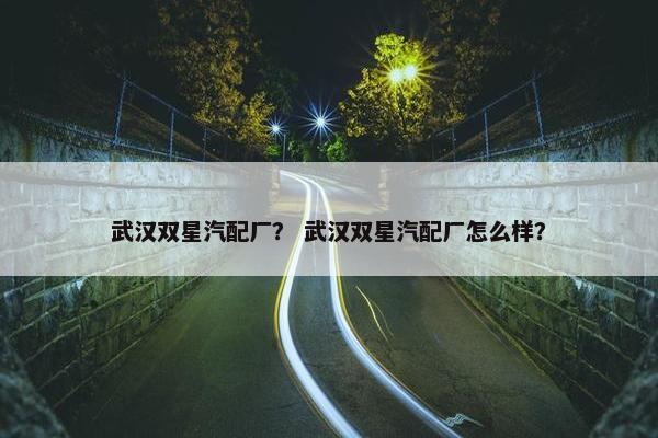 武汉双星汽配厂？ 武汉双星汽配厂怎么样？