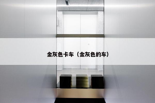 金灰色卡车（金灰色的车）