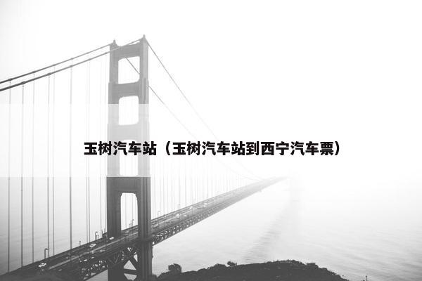 玉树汽车站（玉树汽车站到西宁汽车票）