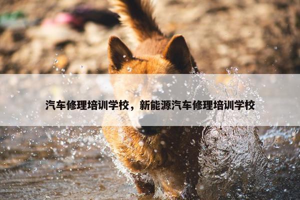 汽车修理培训学校，新能源汽车修理培训学校
