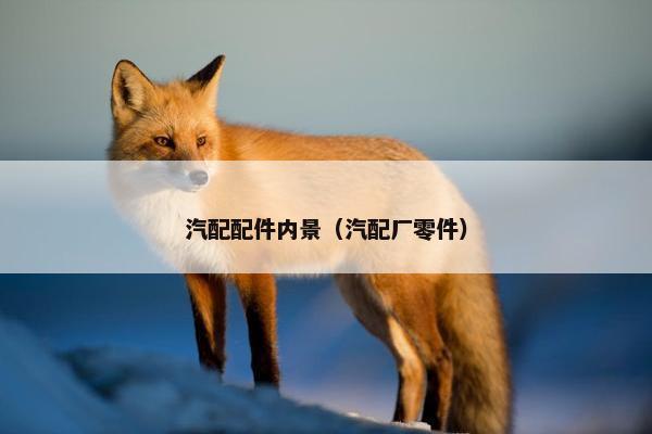 汽配配件内景（汽配厂零件）