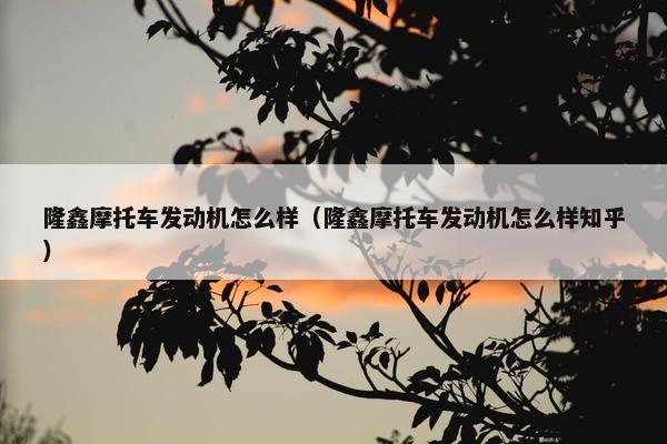 隆鑫摩托车发动机怎么样（隆鑫摩托车发动机怎么样知乎）