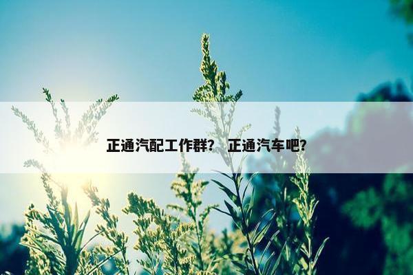 正通汽配工作群？ 正通汽车吧？