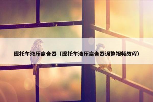 摩托车液压离合器（摩托车液压离合器调整视频教程）