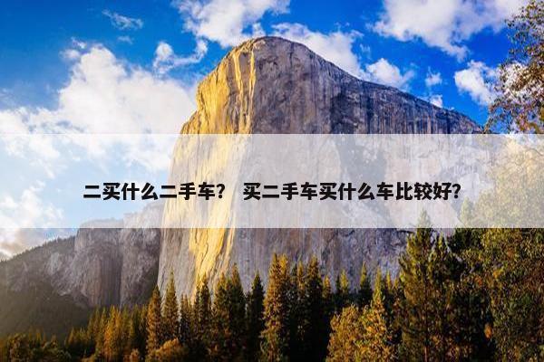 二买什么二手车？ 买二手车买什么车比较好？