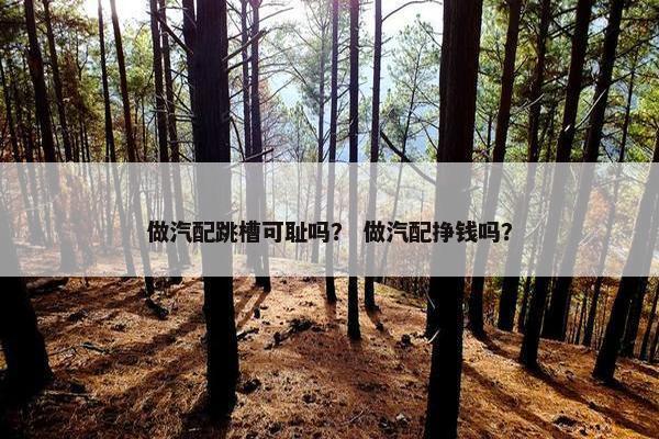 做汽配跳槽可耻吗？ 做汽配挣钱吗？