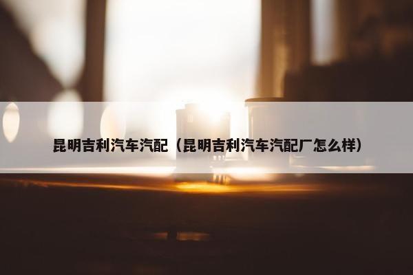 昆明吉利汽车汽配（昆明吉利汽车汽配厂怎么样）