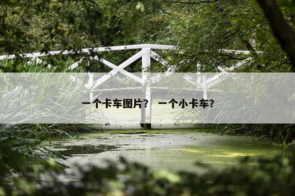 一个卡车图片？ 一个小卡车？