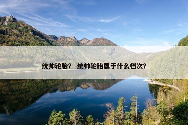 统帅轮胎？ 统帅轮胎属于什么档次？