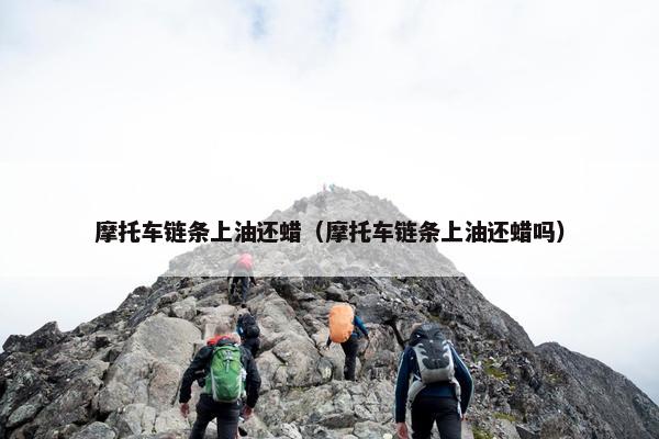 摩托车链条上油还蜡（摩托车链条上油还蜡吗）