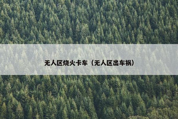 无人区烧火卡车（无人区出车祸）