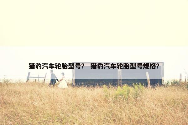 猎豹汽车轮胎型号？ 猎豹汽车轮胎型号规格？