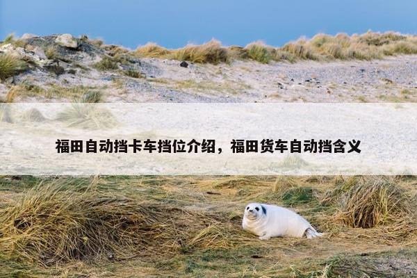 福田自动挡卡车挡位介绍，福田货车自动挡含义
