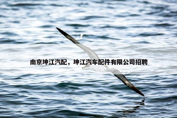 南京坤江汽配，坤江汽车配件有限公司招聘
