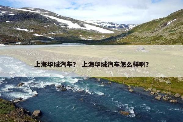 上海华域汽车？ 上海华域汽车怎么样啊？