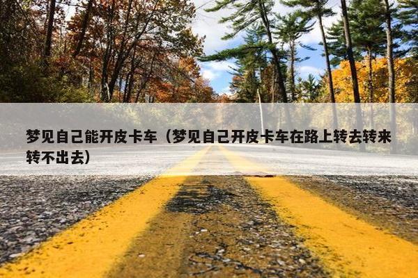 梦见自己能开皮卡车（梦见自己开皮卡车在路上转去转来转不出去）