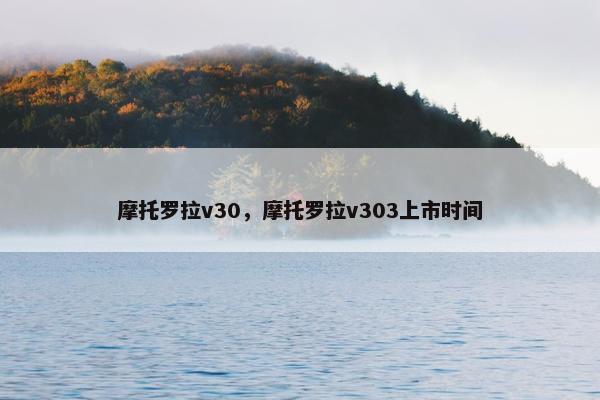 摩托罗拉v30，摩托罗拉v303上市时间