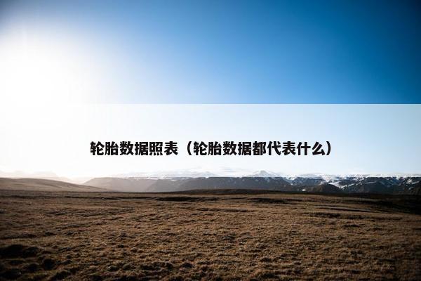 轮胎数据照表（轮胎数据都代表什么）