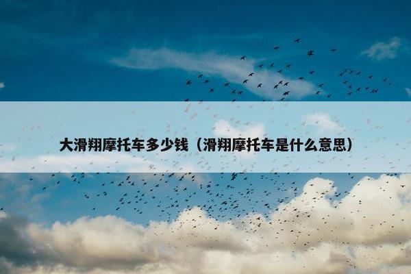 大滑翔摩托车多少钱（滑翔摩托车是什么意思）
