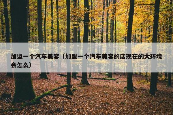 加盟一个汽车美容（加盟一个汽车美容的店现在的大环境会怎么）