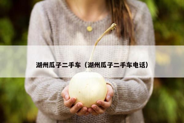 湖州瓜子二手车（湖州瓜子二手车电话）