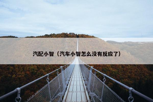 汽配小智（汽车小智怎么没有反应了）