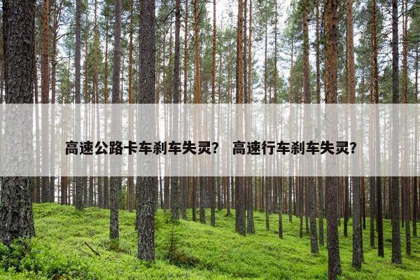 高速公路卡车刹车失灵？ 高速行车刹车失灵？