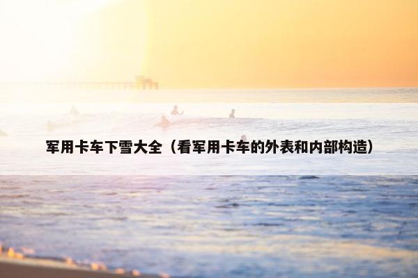 军用卡车下雪大全（看军用卡车的外表和内部构造）
