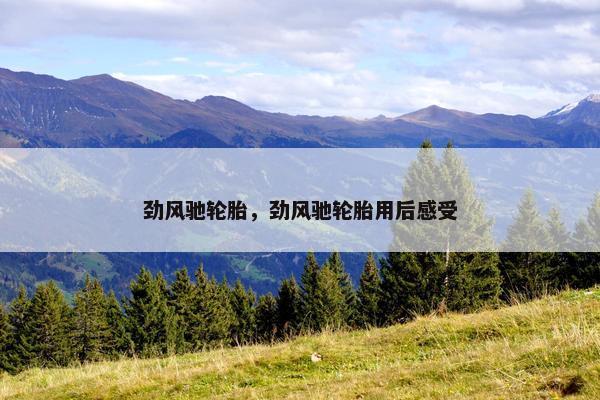 劲风驰轮胎，劲风驰轮胎用后感受