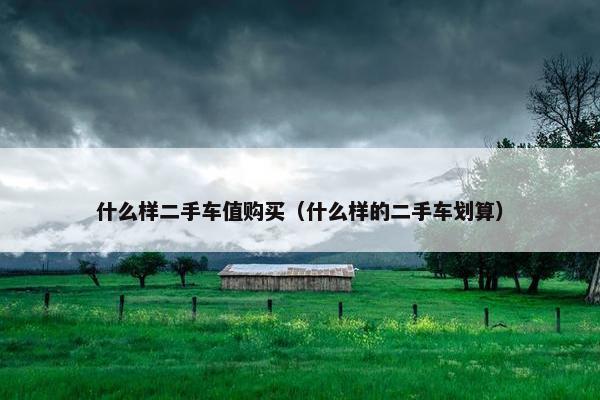 什么样二手车值购买（什么样的二手车划算）