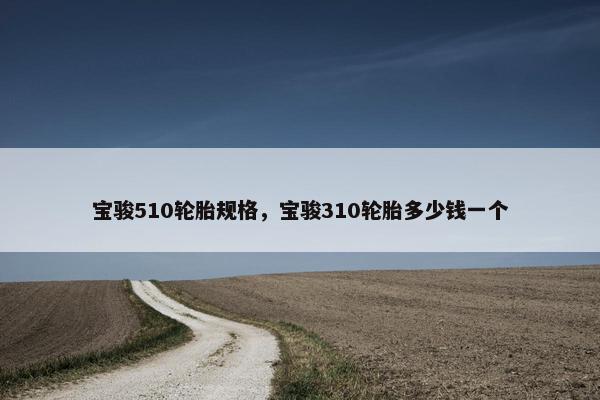 宝骏510轮胎规格，宝骏310轮胎多少钱一个