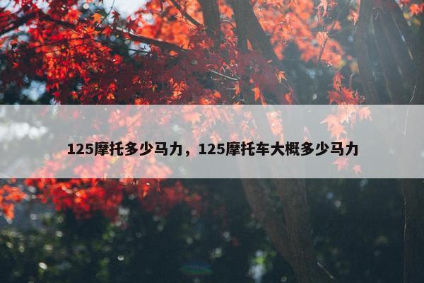 125摩托多少马力，125摩托车大概多少马力