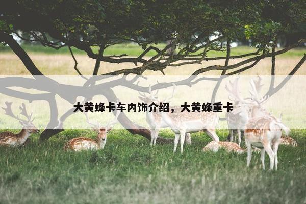 大黄蜂卡车内饰介绍，大黄蜂重卡
