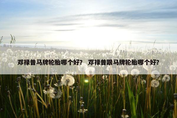 邓禄普马牌轮胎哪个好？ 邓禄普跟马牌轮胎哪个好？
