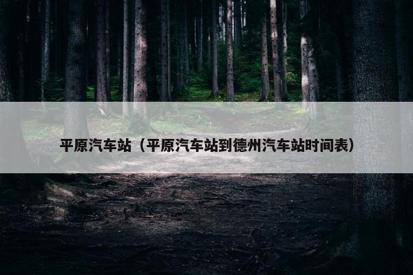 平原汽车站（平原汽车站到德州汽车站时间表）