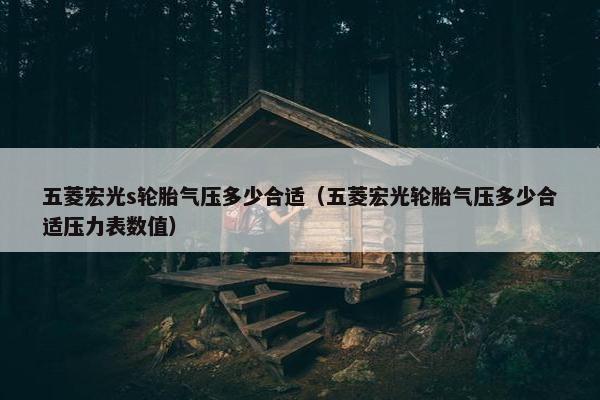 五菱宏光s轮胎气压多少合适（五菱宏光轮胎气压多少合适压力表数值）