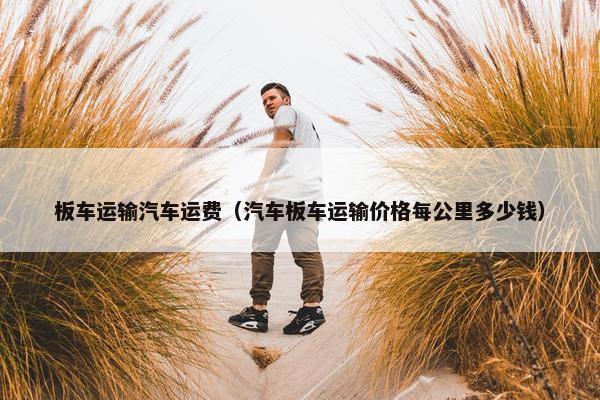 板车运输汽车运费（汽车板车运输价格每公里多少钱）