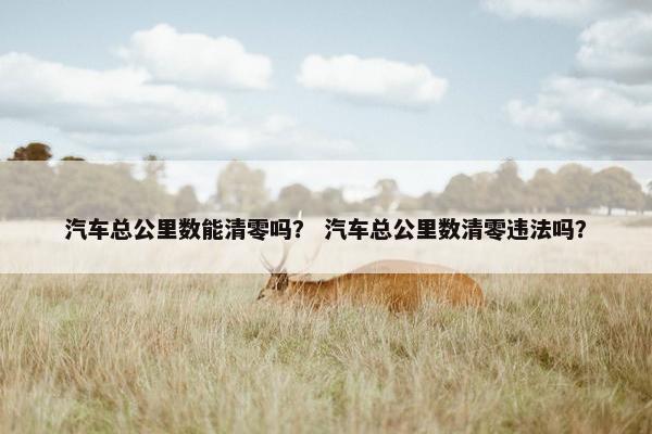汽车总公里数能清零吗？ 汽车总公里数清零违法吗？