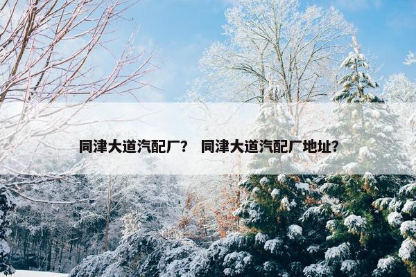 同津大道汽配厂？ 同津大道汽配厂地址？