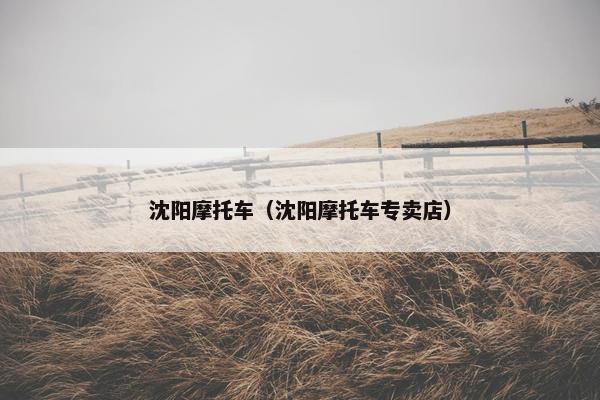 沈阳摩托车（沈阳摩托车专卖店）