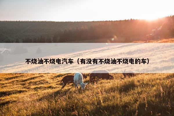 不烧油不烧电汽车（有没有不烧油不烧电的车）