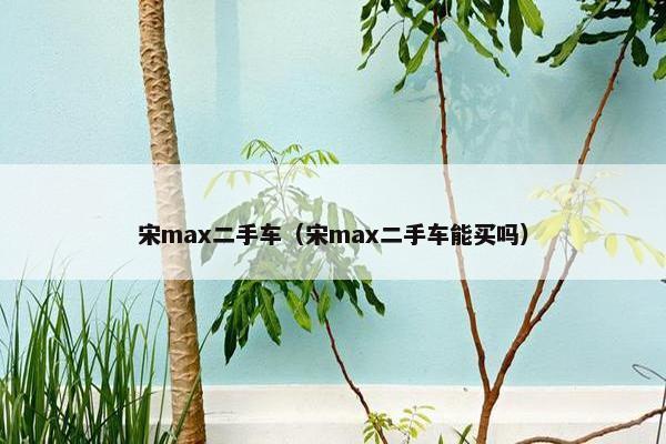 宋max二手车（宋max二手车能买吗）