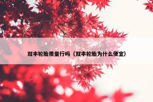 双丰轮胎质量行吗（双丰轮胎为什么便宜）