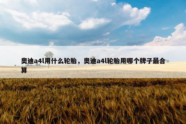 奥迪a4l用什么轮胎，奥迪a4l轮胎用哪个牌子最合算