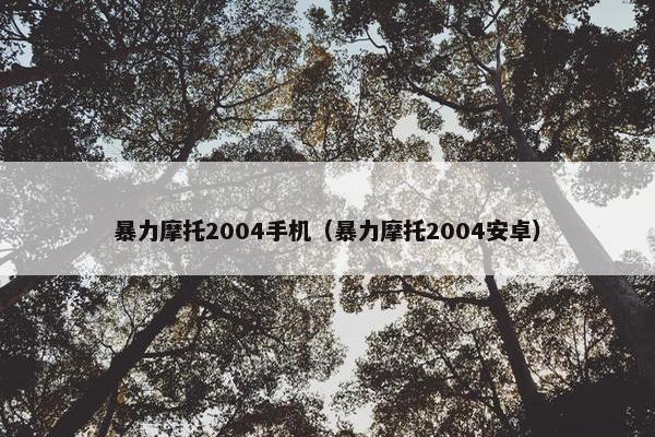 暴力摩托2004手机（暴力摩托2004安卓）