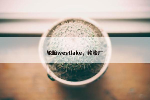 轮胎westlake，轮胎厂